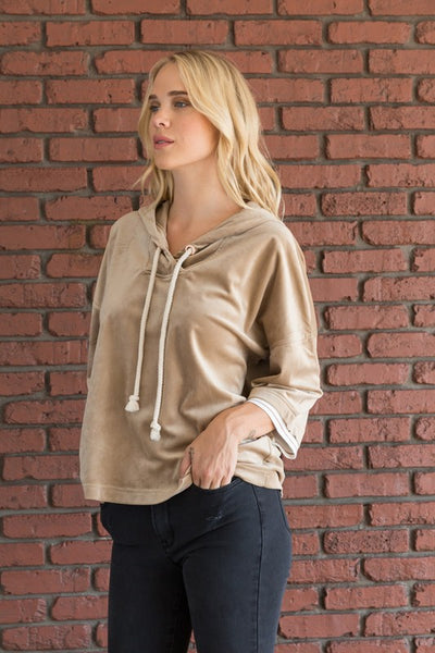 Rib Banded Dolman Sleeve Velvet Hoodie