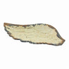 Flying Solo Angel Wing Trinket Dish - Soul Of The Rose®